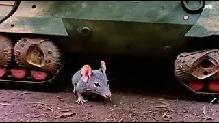 Advances towards the Cheeseilton front repelled by Mouse bombardment
