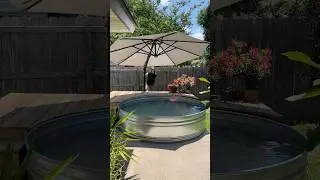 How we keep our Stock Tank Pool COOL! What do you think? #stocktankpool