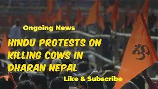Hindu Protests on killing Cows in Dharan, Nepal