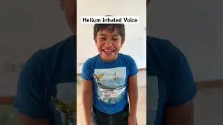 Helium balloons 🎈 just for fun 🤩 #netherlands #funny #siblings #fun #dutchtuber