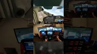 🌀 Spin Recovery ➤ Engine Out Landing in a Field! 😱✈️