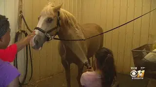 IDK Foundation Treats North Texas Youth To Free Summer Camps