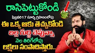 రాసి పెట్టుకోండి ఈ ఒక్క ఆకు తెచ్చుకోంటే నెల తిరిగేలోపు లక్షలు సంపాదిస్తారు..| Pradeep Joshi
