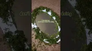 DIY moss mirror #diy #roomdecor #cottagecore