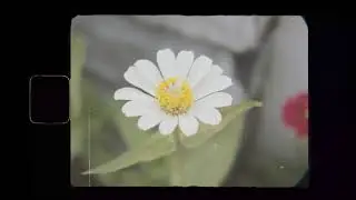 Super 8mm Film Effect With Canon t3i / 600D