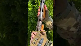 Restored PPD-40: Will it Fire? #guns #cats