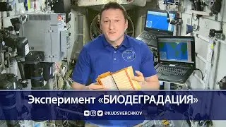 Сергей Кудь-Сверчков: проведение эксперимента &laquo;Биодеградация&raquo; на МКС