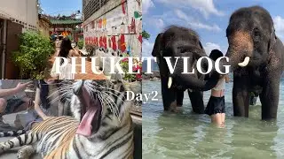 【プーケット旅行２日目🌴🌺🍹】おすすめのツアー紹介も！/タイガーキングダム/エレファントスイム/プーケットタウン/オールドタウン/Phuket/Thailand/vlog