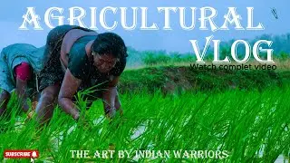 Agriculture Vlogs // How to do Agriculture / Farming in India / Odia vlogs / Village life🤘🎉