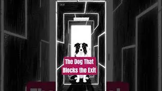 The Dog That Blocks the Exit #studywithmeandmycat #facts #newupdateinrobloxbedwars