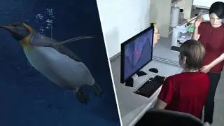 Researchers lose track of Happy Feet emperor penguin
