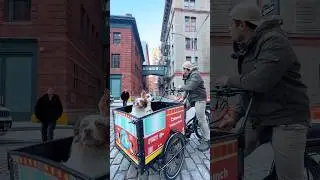 Pet Wagon - Episode 37 - Meet Logan 🙌 #PetWagon #GuessThePet #dogs #petlovers #newyork
