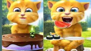🧯 Ginger Reacts Without Any Warning ⚠️