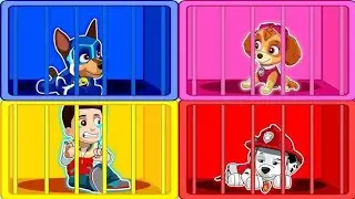 PAW Patrol Music | Coffin Dance Song (COVER)
