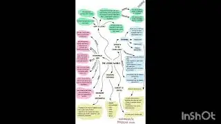 Mind map ( living world)