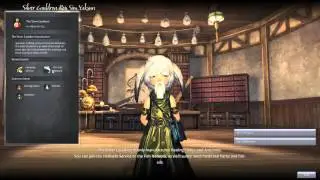 Руководство по созданию и сбору Blade and Soul