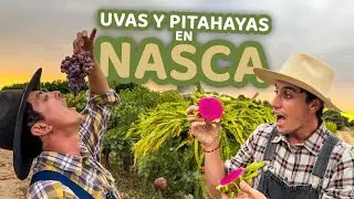 Nasca en su esencia: exploramos los Acueductos de Cantalloc y el cultivo de uvas y pitahayas