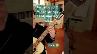 Turnaround in C minor, inversions, moving up the neck. #guitar #guitartutorial  #jazz #chords