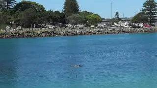 Tuncurry NSW