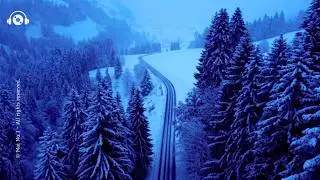 🌿 Forest Harmony : Serene Healing Music for the Silent Winter Woods | Relaxing & healing Music