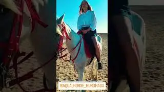 Beach rides Hurghada 2024