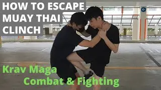 How to Escape from Muay Thai Clinch