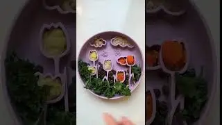 Healthy Dog Dinner DIY 