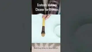 Ecotools Makeup Cleaner for Brushes