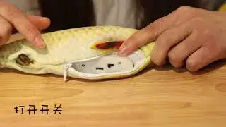Sanlead Electric Moving Fish Cat Toy