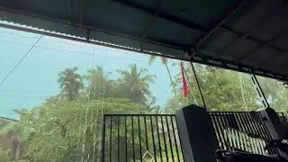 🌙 Hujan Lembut Pengantar Tidur | Musik Alam untuk Relaksasi -Angura ASMR
