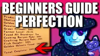 Cozy Beginners Guide to Perfection