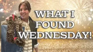 What I Found Wednesday 👀 You’ll Want to See This 💫 