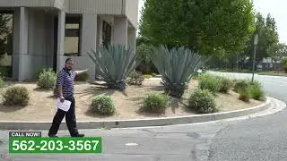Landscape Maintenance Whittier CA (562) 203-3567