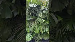 bold. tropical. iconic. monstera leaves are a staple in modern floral design #monstera #eventdecor