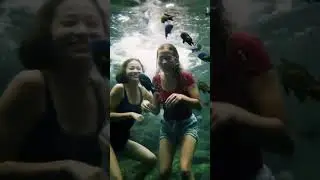 Two Asian Girls Laugh Underwater with Colorful Fish 🐠💦 #usa