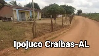 Povoado Ipojuco e Lagoa do Algodão Craíbas-AL