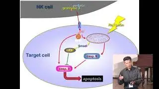 Super Immunity and Plant Based Food &bull; Dr. David Lowe