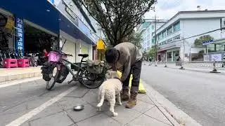 昨夜下大雨帐篷泡在水坑里，自行车辐条断了两根轴承也出问题了 #腾冲 #骑行 #云南 #流浪狗 #户外 #露营