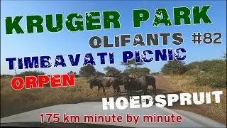 4K Driver view : Olifants Camp to Hoedspruit via S39, Timbavati picnic spot and Orpen rest camp
