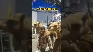 wong jowo po arab #hiburan