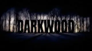 Steam Early Access Spotlight: Darkwood (PC HD)