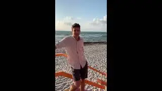 Lex & Lex Explore Miami