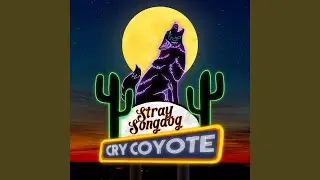 Cry Coyote