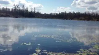 View - Judd Lake - Weasel Lake PMA in the BWCA