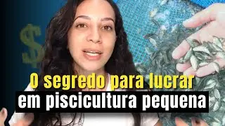 Área ideal para produzir mil peixes de forma lucrativa