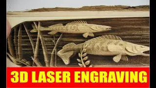3D Laser Cutting and Engraving