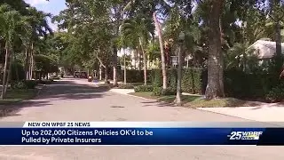 Citizens Insurance takeover policies approved &mdash; hundreds of thousands may have to switch companies