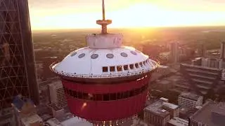 DAIM - World's Tallest Mural at BUMP Festival in Calgary
