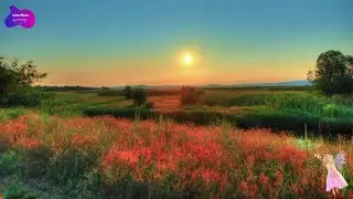 Matthias Bishop - Mirror Sea Sunrise (Original Mix) [Interflow Uplifting]