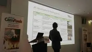 Cost-effective actions for the mitigation of AF impacts on pyroprocessing - Global CemFuels 2019